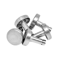 Rivets à tête bombée en acier inoxydable, zingués, résistants à la corrosion, personnalisables OEM, légers, pour applications automobiles et structurelles