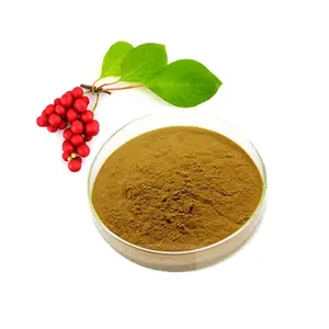 Vente 9% extrait de baies de Schisandra poudre d'extrait de Schisandra Chinensis