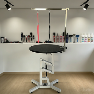 Mesa de Peluquería Profesional para Mascotas, Eléctrica, Ajustable <span class=keywords><strong>en</strong></span> Altura, para Perros Grandes, <span class=keywords><strong>Venta</strong></span> Comercial, OEM ODM - Product Image 1
