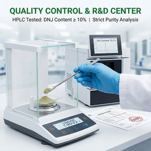 天然桑の葉エキス 食品グレード 高含有量 <span class=keywords><strong>DNJ</strong></span> フラボノイド 食用 低血糖作用 脂質低下作用 健康食品グレード パウダー - Product Image 2