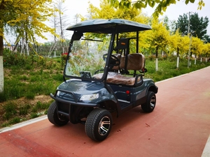 Venta Directa de Fábrica, Autobús Turístico de 2 Plazas, Carro de Golf Eléctrico con Batería, Velocidad de 40-50 km/h y Autonomía de 50-70 km - Product Image 5