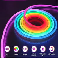 Bande lumineuse LED néon flexible RGB étanche 5V USB à commande par application pour les fêtes, les événements et la décoration de Noël