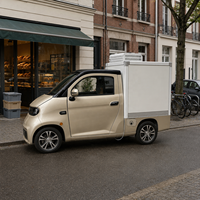 Camion de livraison, fourgonnette électrique à 4 roues, monoplace, pour le transport de denrées alimentaires, avec compartiment frigorifique, homologué CEE, personnalisable