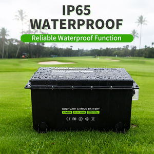 맞춤형 48V 51.2V 65Ah 100Ah 105Ah 200A 스마트 BMS 6000사이클 76.8V 골프 카트 배터리 팩 LiFePO4 리튬 이온 다양한 색상 - Product Image 3