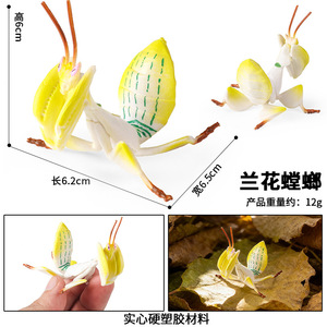 Modèle de jouet d'insecte arthropode simulé pour enfants yxs, Mantis <span class=keywords><strong>orchidée</strong></span>, Mantis couteau, Feuille morte, pièce d'exposition cognitive - Product Image 3