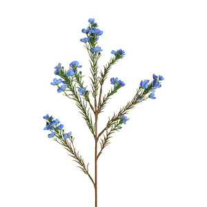 Flower Delight Flores Artificiales de Flor de Invierno en Colores Mixtos, Flores de Seda para Decoraciones de Boda, Origen Australia - Product Image 5
