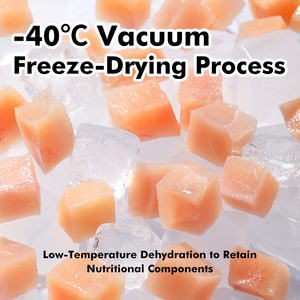 Premium dondurularak kurutulmuş evcil hayvan ödül maması toplu tavuk ördek meme aperatifler düşük tuz FD kedi köpek için özel markalaşma seçenekleri ile et küpleri - Product Image 5