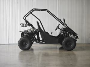 Kandi <span class=keywords><strong>110cc</strong></span> 및 125cc 어린이를위한 전기 시작 고 카트 오프로드 페달 듄 버기 어린이 가솔린 125cc 고 카트 - Product Image 4