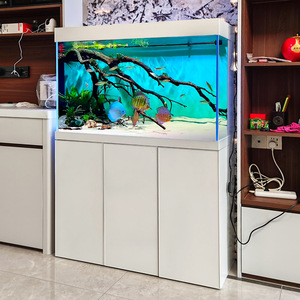 Accessoires <span class=keywords><strong>pour</strong></span> aquariums : Paravent <span class=keywords><strong>d</strong></span>'aquarium en verre ultra-transparent sur mesure <span class=keywords><strong>pour</strong></span> arowanas, 320-1400L, <span class=keywords><strong>avec</strong></span> bac à filtre autonettoyant - Product Image 2