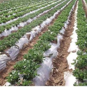 Nhà Máy Giao Hàng Trực Tiếp Trắng Trong Suốt <span class=keywords><strong>Pe</strong></span> Nông Nghiệp Màng Nhựa Polyethylene Nhựa Cho Nông Nghiệp Sử Dụng - Product Image 4