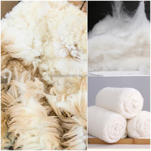 Macchina Cardatrice a Rullo Singolo/Doppio per Riciclaggio Scarti Tessili, Macchina per Apertura Fibre e Cardatura Cotone a Rullo Singolo - Product Image 5