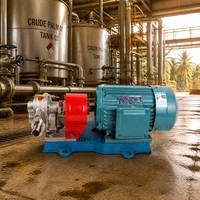 KCB 33.3 Selbstansaugende Zahnradölpumpe 33,3 LPM 1,45 MPa 2,2 KW 304 Edelstahl Zahnrad Chemikalienbeständige Schmierpumpe
