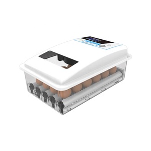 Jiatai giá rẻ tự động Máy Ấp Trứng Nở trứng 24 trứng lồng ấp điện kép Máy Ấp Trứng - Product Image 3