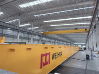 Grue à double poutre Weihua QB 10 tonnes pour la manutention industrielle des matériaux
