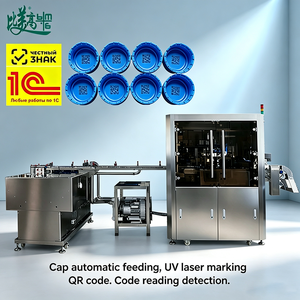 Système de marquage laser automatique par code QR avec autofocus et inspection visuelle pour le rejet des codes QR et des dates sur les bouchons de bouteilles - Product Image 1