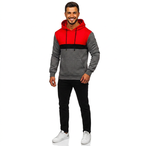 Sweats à capuche pour hommes d'hiver 100% coton Poids lourd Broderie Patch Logo Sweats à capuche surdimensionnés Streetwear pour hommes - Product Image 1