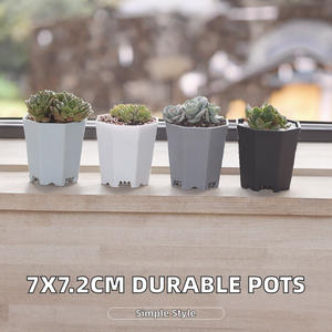 Macetas Minimalistas de Plástico PP Duradero para Uso en Interiores, de 7*7.2cm, Capacidad de 1-3L, Venta al Por Mayor, Sin Recubrimiento, Directo de Fábrica ZF - Product Image 2