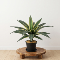 Tanaman Agave Palsu Ukuran Besar 48cm Dua Warna Daun Kuning Hijau Tahan UV untuk Proyek Lanskap