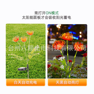 Solaire 3 LED - Product Image 2