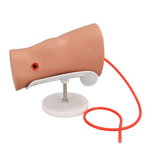 Modello <span class=keywords><strong>di</strong></span> ferita da arma da fuoco compatto in Silicone per l'<span class=keywords><strong>educazione</strong></span> <span class=keywords><strong>e</strong></span> la <span class=keywords><strong>formazione</strong></span> in <span class=keywords><strong>scienze</strong></span> mediche - Product Image 2