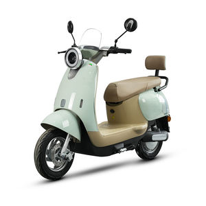 TYCORUN CKD Moto électrique légère 10 pouces 800W 45km/h – Trottinette électrique à pédales à prix d'usine, vente chaude pour la vente en gros - Product Image 5