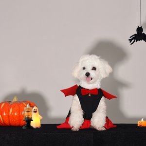 ชุดคอสเพลย์สุนัขแมวสำหรับวันฮาโลวีนชุดปาร์ตี้สำหรับสุนัขขนาดเล็กขนาดกลาง - Product Image 3
