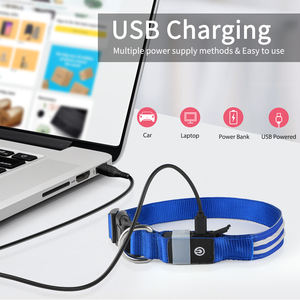 밤 <span class=keywords><strong>LED</strong></span> 번쩍이는 개 목걸이 2 선 광섬유 개 목걸이 빛에 어두운 개 안전 애완 동물 장치에 있는 유행 놀 - Product Image 5