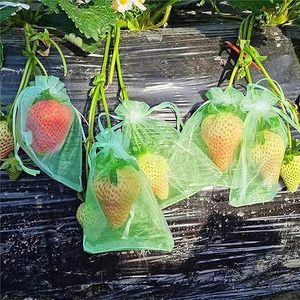 Huamaohengchun6.7''×9''DrawstringFruit <b>Netting</b> Bags,eusableGardenNettingBags,FruitCoverMeshBagfor Fruit Trees Vegetable Floral - Product Image 5