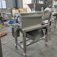 Grote industriële fruitpulpmachine voor het pellen, ontpitten en pulperen van jujubes, hawthorn, sinaasappels en pitaya.