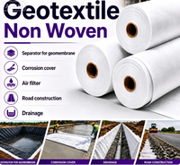 Géotextile non tissé en polypropylène 125 g/m² résistant aux déchirures, prix du tissu aiguilleté en fibres continues PP pour le drainage routier et la filtration