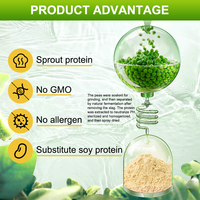 AMULYN 100% Poudre d'amélioration de la nutrition végétalienne biologique à base de protéines de pois 100% Suppléments nutritionnels