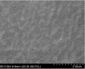 Perlas Magnéticas de Tosil Monodispersas, Tamaño de Partícula Uniforme, Excelente Respuesta Magnética para la Purificación de Proteínas - Product Image 5