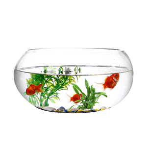 Verre transparent pas cher d'usine pour votre décoration de bureau, mini vase rond pour <span class=keywords><strong>poisson</strong></span> <span class=keywords><strong>rouge</strong></span> - Product Image 4