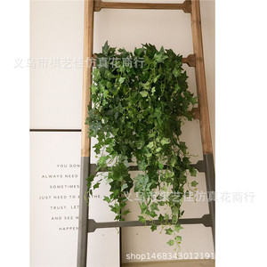 Lianes de lierre artificiel en soie de 100cm-200cm pour décoration murale, maison, mariage et extérieur - Product Image 3