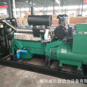 Weifang Steyr 200kW Diesel Generator Set 400V 50Hz <b>Three</b> Phase AC Synchronous Generator - Product Image 4