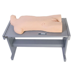 Maniquí de Entrenamiento CK819 para Punción de Abcesos Hepáticos y Punción Torácica, Maniquí de PVC para Entrenamiento Médico, Modelo Auxiliar de Entrenamiento - Product Image 1