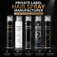 Spray capillaire aérosol 420 ml pour unisexe, tenue forte, protection thermique, soin des cheveux bouclés - Formule personnalisée en marque privée