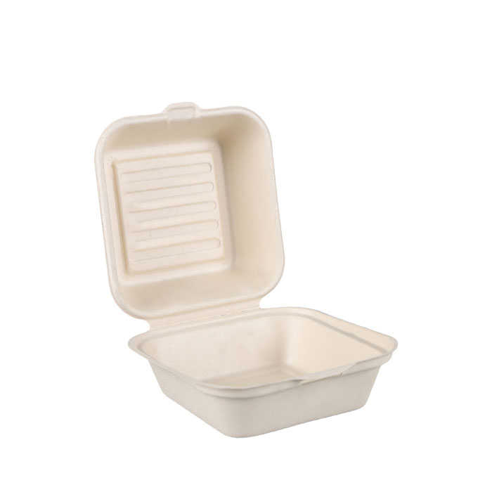 Eco Friendly Bagasse Sugarcane Disposable Compostable Biodegradable ...
