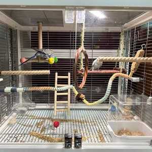 Écologique Luxe Oiseau Jouet Perroquet Suspendu Balançoire <span class=keywords><strong>Corde</strong></span> À Mâcher Fournitures Échelle Bâton En Nylon Extérieur Stress Ennui Soulagement - Product Image 4