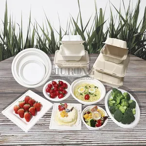 3 Compartiment Voedsel Container Wegwerp Biologisch Afbreekbaar Bagasse Lunchbox Takeaway Fast Food Verpakking