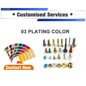 Vít Bán Buôn Tùy Chỉnh 10Mm 12Mm 16Mm Brass Màu Sắc Tự Nhiên Cao Đầu Hai Lớp Tay Vít - Product Image 5