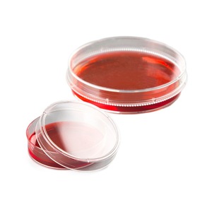 Placas de Petri Angentech de 90 mm de grosor y alta transparencia para cultivo de células bacterianas en laboratorio - Product Image 1