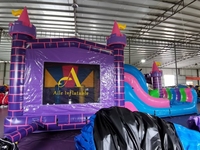 Maison colorée de rebond d'arrière-cour avec le trampoline gonflable de château sautant de conception de princesse de glissière d'eau avec la glissière