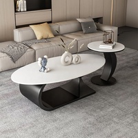 Nouvelle arrivée 2024, table basse en métal et résine, salon, intérieur, compacte, ambiance haut de gamme, design italien minimaliste ovale