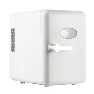 4 Litre 12V taşınabilir Mini kozmetik buzdolabı küçük güzellik çubuğu buzdolabı Mini buzdolabı
