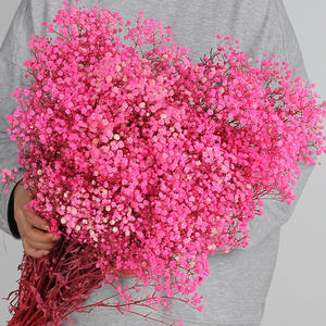 زهور الجبسوفيلا المجففة والمحفوظة للبيع بالجملة - ديكور رومانسي لحفلات الزفاف وعيد الحب والكريسماس - Product Image 3