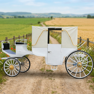 Calèche royale électrique avec auvent, calèche royale de tourisme, chariot à chevaux, produit élégant de haute qualité - Product Image 1