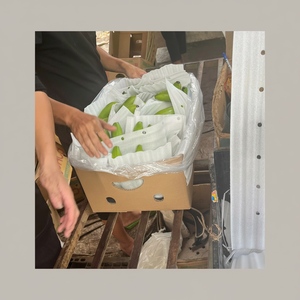 Bananes fraîches en gros pour l'exportation, le commerce de détail et les marchés de la restauration, avec une qualité constante et une excellente saveur - Product Image 1