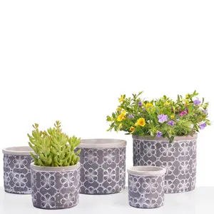 Various Style Bonsai Pots Succulent Planter Pot 7/6/5/3 Inch Small Cement Flower Pot For Indoor Outdoor Planting Decor