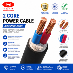 <span class=keywords><strong>สาย</strong></span>ไฟฟ้าแรงดันปานกลางอุตสาหกรรม ฉนวน XLPE หุ้ม PVC รุ่น YJV ยี่ห้อ HS ตัวนำทองแดง <span class=keywords><strong>2.5</strong></span> ตร.มม. 1/0 โอห์ม - Product Image 1